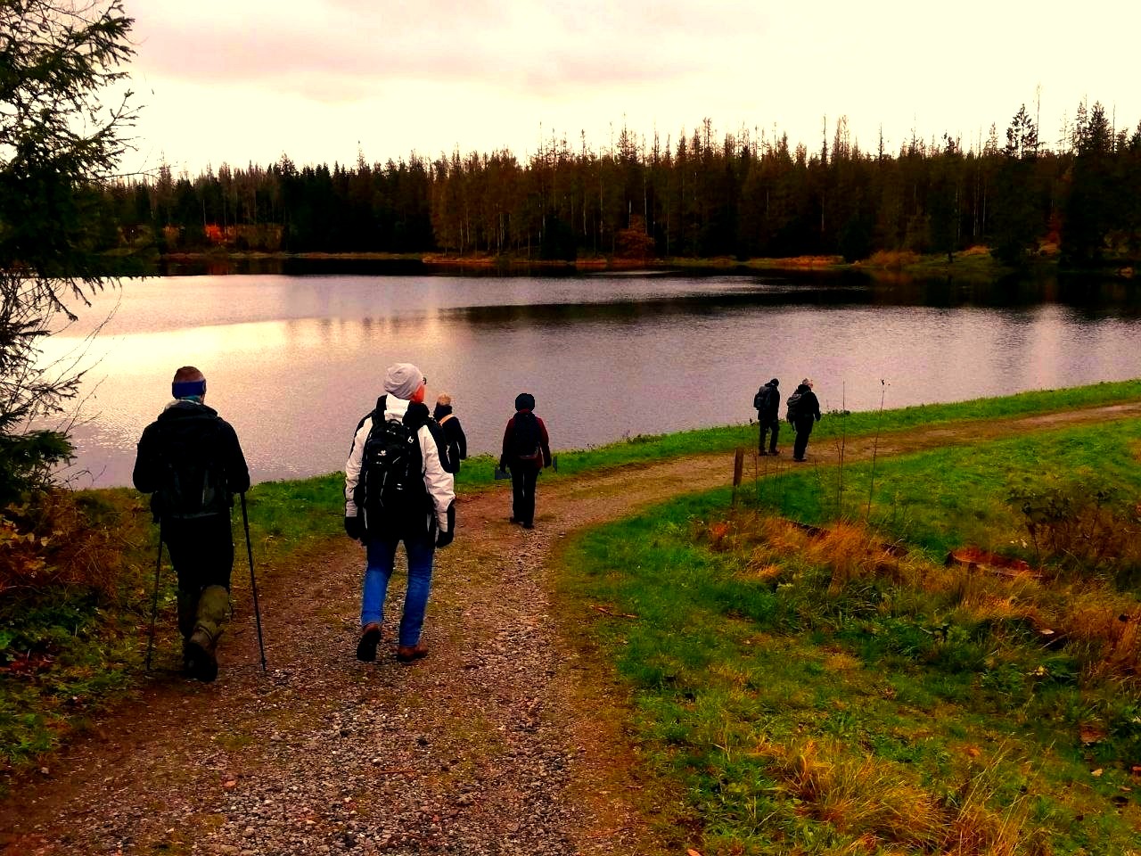 Wandergruppe auf einem Weg an einem See im Oberharz